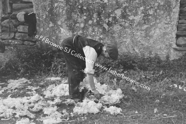 MAN SHEARING SHEEP